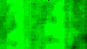 Press Driver 2019 โชว์ฉากแอคชั่นเอเชียสุดเร้าใจ