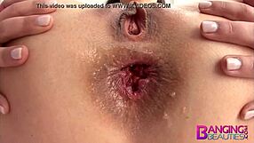 banging beauties casey calvert in hot anal action