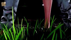 the inn 61 game anime hentai