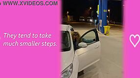 In my sissy training, I learn humiliation and crossdressing as a shemale.