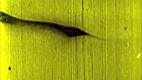 What Secrets Hide in Vintage Erotic Illustrations?