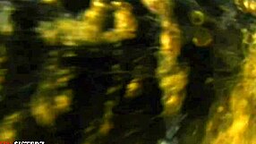 Wet BBW Vagina Drips Sweet Cum in Hardcore Action?