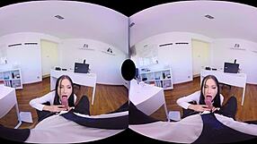 what's the secretary doing in 3d?