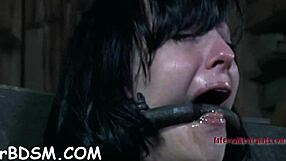 Bound for electric sadomasochism spanking and domination?