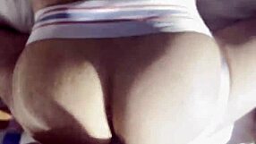 this little bear came to my house and begged for something