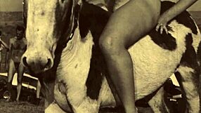 Dark Lantern Presents Beauty And The Beast! Watch Now!