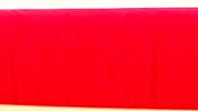 Gay men have hardcore sex