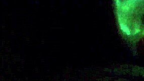 Ebony sucks big black cock intensely