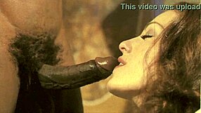 dark lantern entertainment brings vintage interracial tales from my secret life confessions