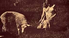 Dark Lantern Presents Beauty And The Beast! Watch Now!