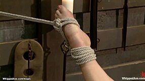 Рыжая домина анально трахает связанную блондинку-лесбиянку в бондаже