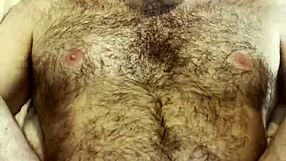 this little bear came to my house and begged for something