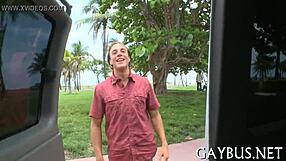 Live Homo Sex in Action