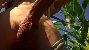 Helping A Friend Out In The Cornfield