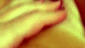 Alineflavio Update 151 Sep 11 2024