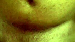 Alineflavio Update 151 Sep 11 2024