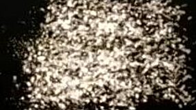 Two lustful bitches engage in anal fucking and pussy licking