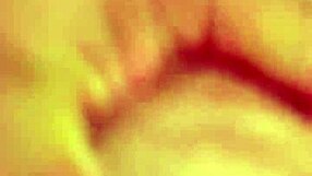 Alineflavio Update 151 Sep 11 2024