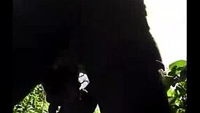 Dude, flexible ebony babe gets outdoor pussy pounding! 😍