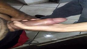 Pará Makes Jacaré Burst in Wild Animated Action Scene