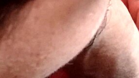 i give a lovely blowjob to my gay partner