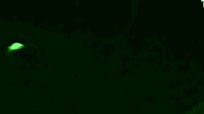 Amateur wife gives homemade handjob and masturbation to husband