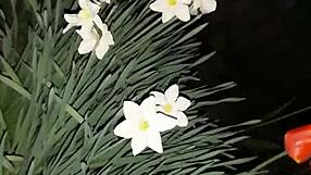 Invited neighbor to see flowers then fucked her mouth in abandoned house