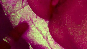 Skinny nympho ignores broken condom, keeps anal fucking until pregnant with sperm-filled vagina