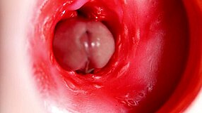 Hiç kamerada içerde titreyen ve sıkışan bir amcık gördün mü?