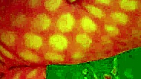 Angelg y Kuzzs follan gay interracial en Halloween con polla monstruosa