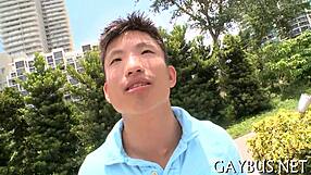 Intense Homosexual Video Sex Scenes Unleashed!