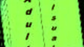 Welcome To Free Will 5