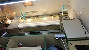 This Crazy Girl Flashes Her Ass at Work for Extra Cash