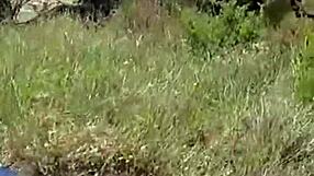 Жесткий трах в горах с пышной настоящей парой, показывающей сырую страсть на природе. Их грязные разговоры быстро накаляют.