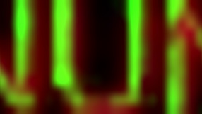 a loira gostosa esta masturbando ate o orgasmo com tetas naturais