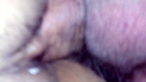 Mi esposa mexicana disfruta placeres orales