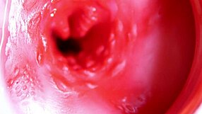 बड़ा लाल लंड रसीले छेद में फिसलता है तुरंत वीर्य निकालने के लिए