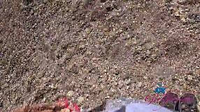 Imagine cruising coast with cute brianna arson for public head?