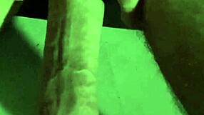 Newly Trimmed Pussy Close Up