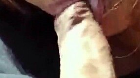 project 002 casual chat 😊