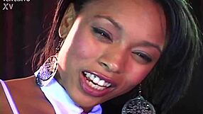 purple blossom - introduction