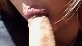 project 002 casual chat 😊