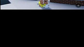 video de verificacion