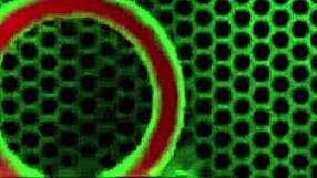 Blonde Nina Kayy Rides Huge Dildo By Pool