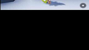 video de verificacion