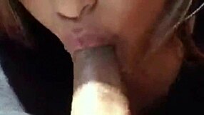 project 002 casual chat 😊