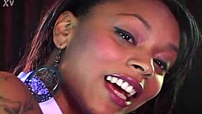 purple blossom - introduction