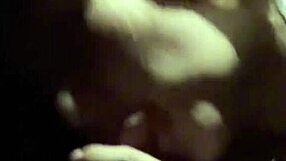 Stranger Sucks My Cock On The Road Trip