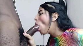 Vruća USA amaterka puši BBC, jaše tvrdo i prima anal duboko