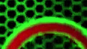 girls day gets steamy with maggie green and hot pals.